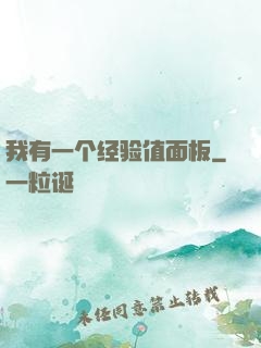 我有一个经验值面板