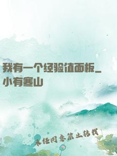我有一个经验值面板