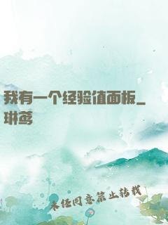 我有一个经验值面板
