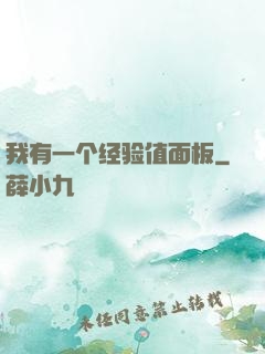 我有一个经验值面板