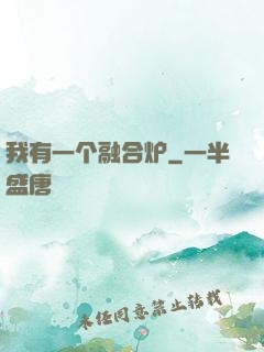 我有一个融合炉