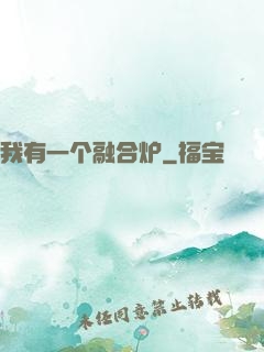 我有一个融合炉