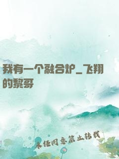 我有一个融合炉