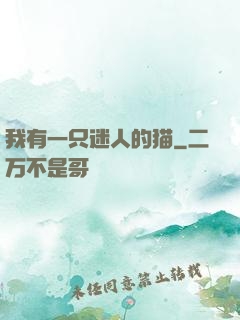 我有一只迷人的猫