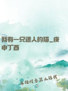 我有一只迷人的猫