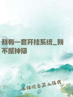 我有一套开挂系统