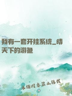 我有一套开挂系统