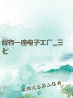 我有一座电子工厂