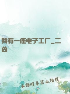 我有一座电子工厂