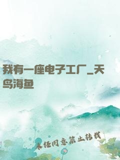 我有一座电子工厂