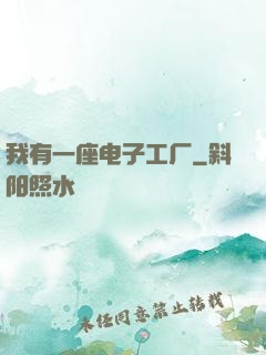 我有一座电子工厂