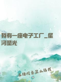 我有一座电子工厂