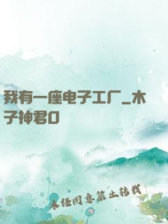 我有一座电子工厂