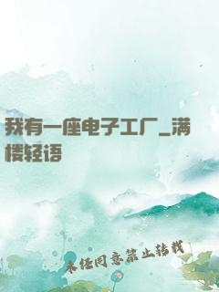 我有一座电子工厂