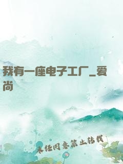 我有一座电子工厂