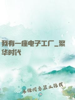 我有一座电子工厂