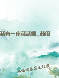 我有一座藏武楼