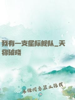 我有一支星际舰队