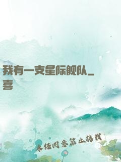 我有一支星际舰队