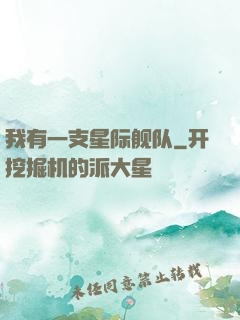 我有一支星际舰队