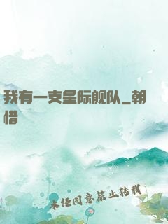 我有一支星际舰队