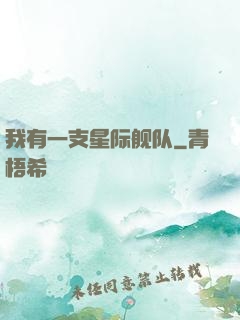 我有一支星际舰队