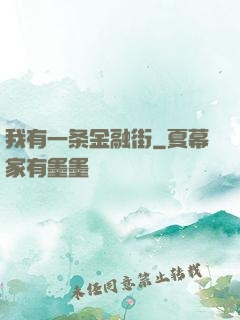 我有一条金融街