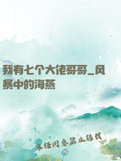 我有七个大佬哥哥