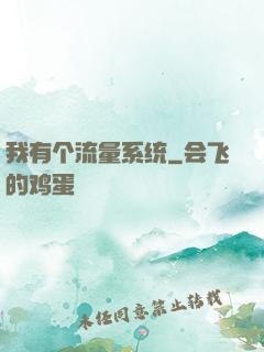 我有个流量系统