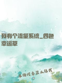 我有个流量系统