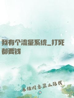我有个流量系统