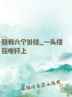 我有六个外挂