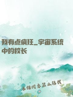我有点疯狂