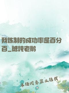 我炼制的成功率是百分百