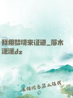 我用梦境来证道