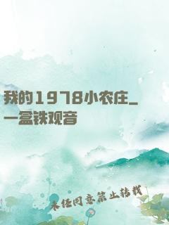 我的1978小农庄