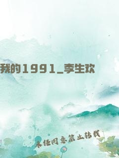 我的1991