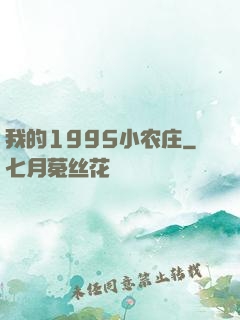 我的1995小农庄