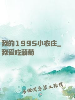 我的1995小农庄