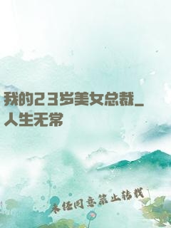 我的23岁美女总裁