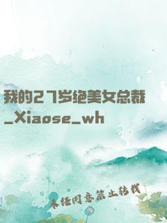 我的27岁绝美女总裁