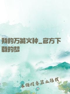 我的万能火种