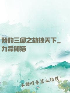我的三国之劫掠天下