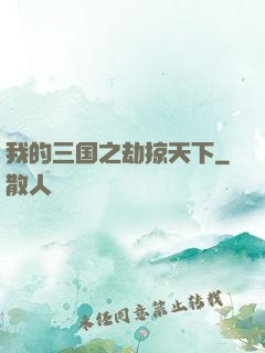 我的三国之劫掠天下