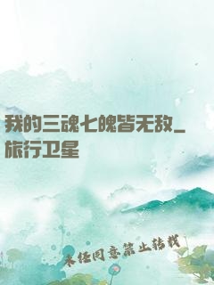 我的三魂七魄皆无敌