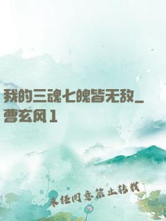 我的三魂七魄皆无敌