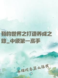 我的世界之打造养成之路