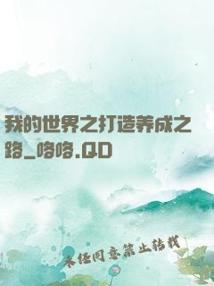 我的世界之打造养成之路
