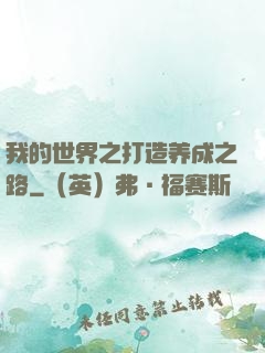 我的世界之打造养成之路