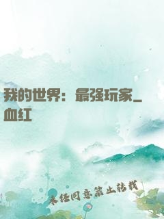 我的世界：最强玩家
